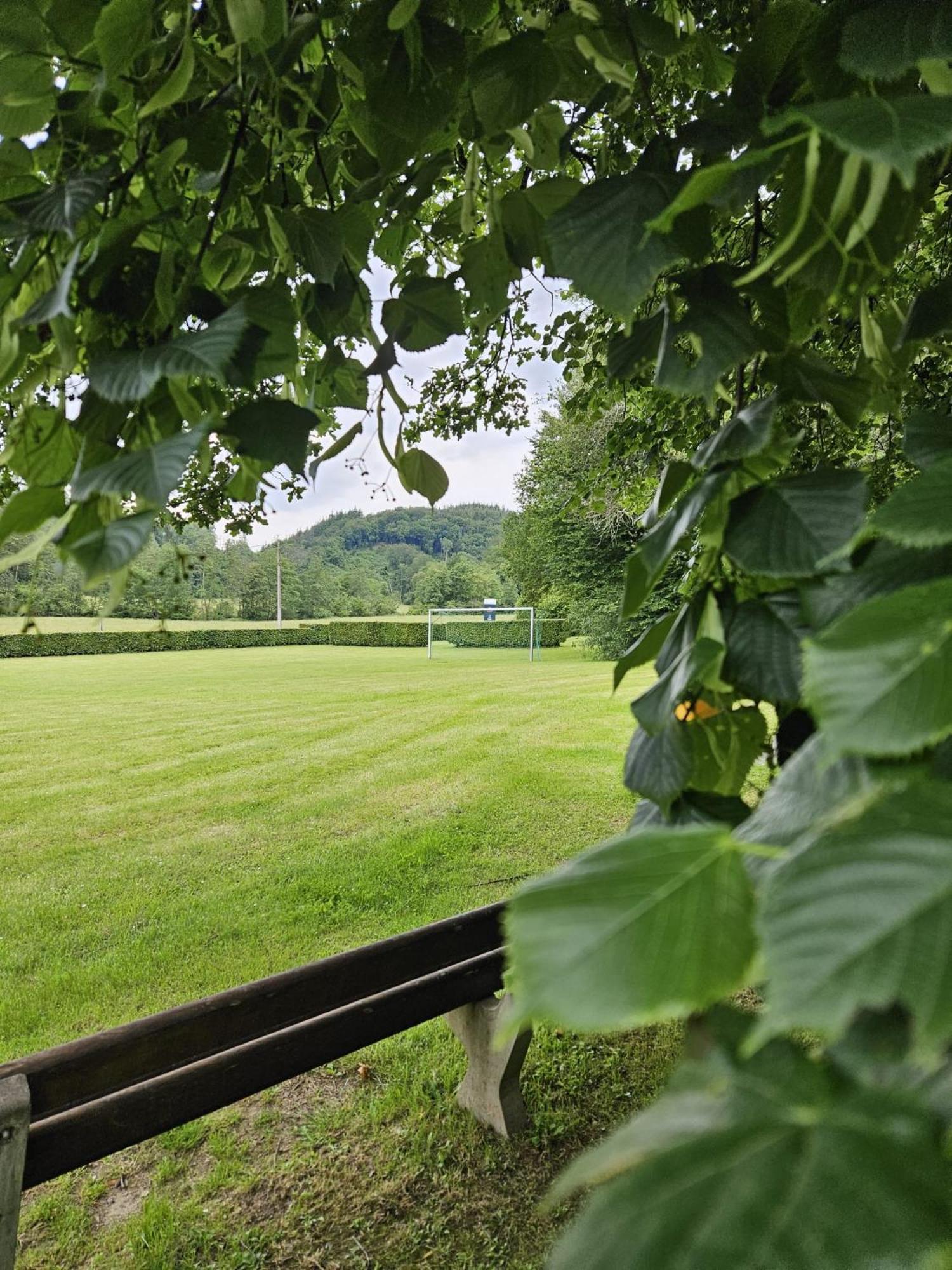 De Bosdriehoek II Durbuy Exteriér fotografie